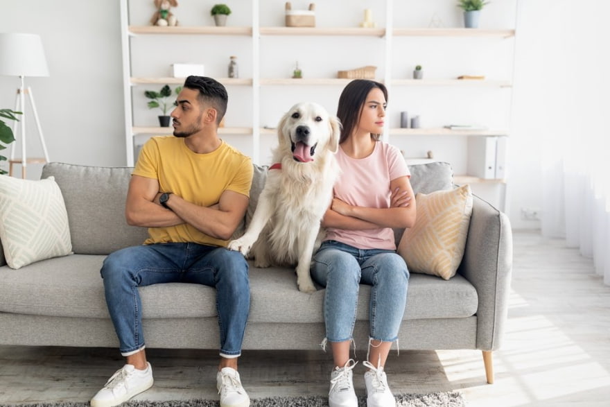Who Gets the Pets in Divorce?