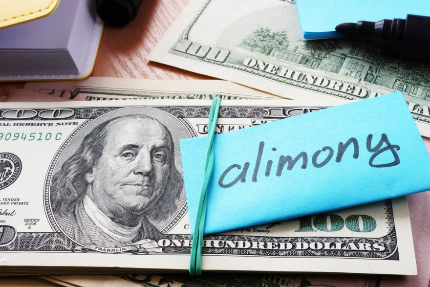 Alimony vs Child Support Definitions and Differences LawDistrict